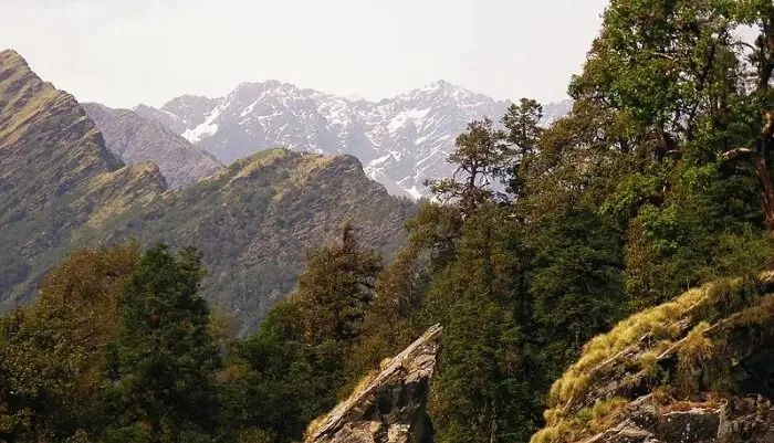 Baniyakund near Chopta Uttarakhand