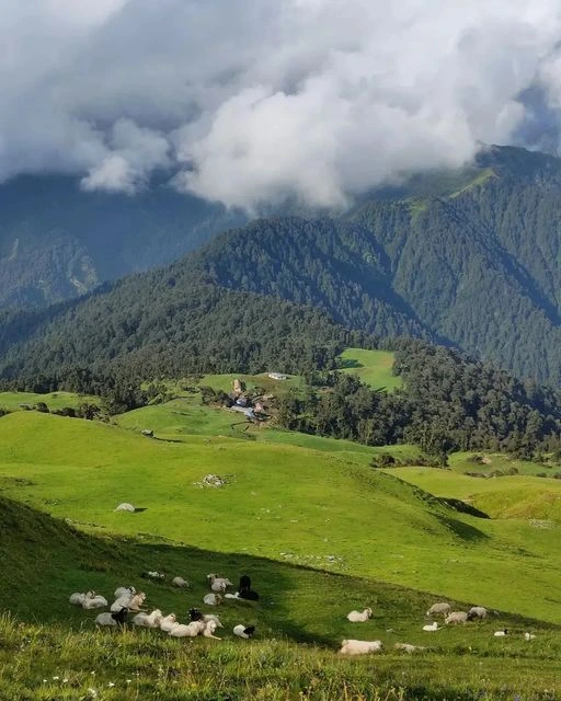 Chopta Mini Switzerland of Uttarakhand