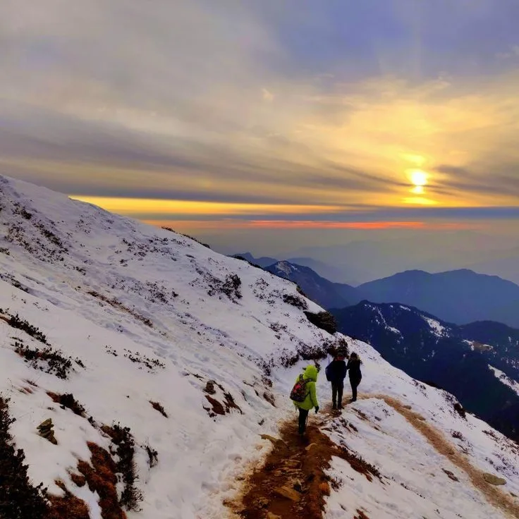 Chopta snowfall in winter Uttarakhand