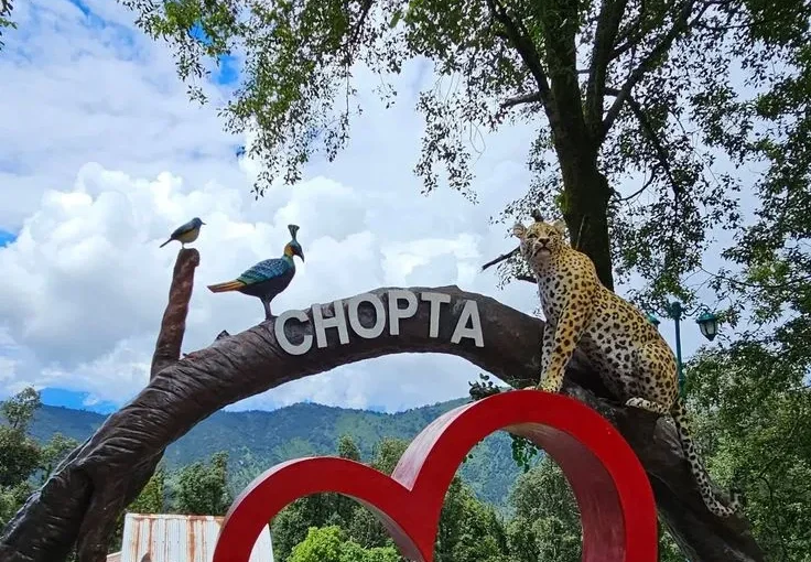 Chopta Uttarakhand Meadows with Himalayan Mountain Views