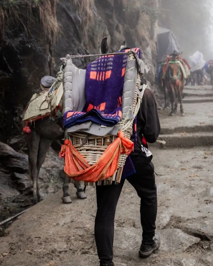 Kedarnath Kandi and Palki service for pilgrims