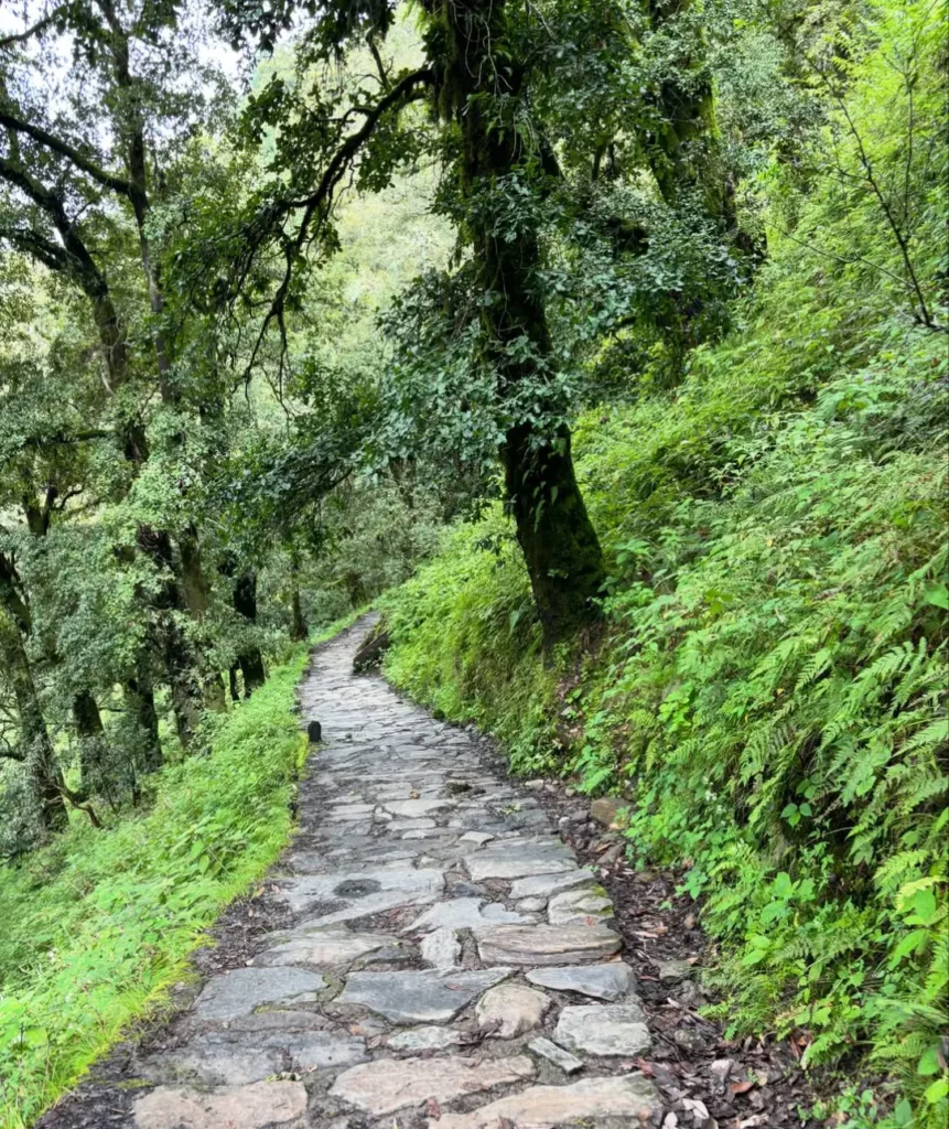 Madmaheshwar Trek in Uttarakhand Himalayas